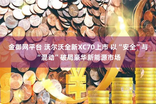 金御网平台 沃尔沃全新XC70上市 以“安全”与“混动”破局豪华新能源市场