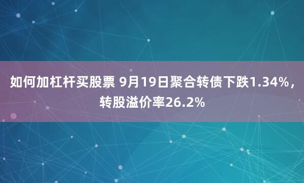 如何加杠杆买股票 9月19日聚合转债下跌1.34%，转股溢价率26.2%