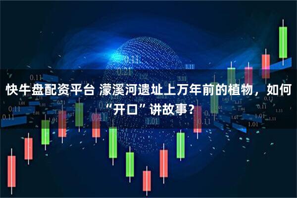 快牛盘配资平台 濛溪河遗址上万年前的植物，如何“开口”讲故事？