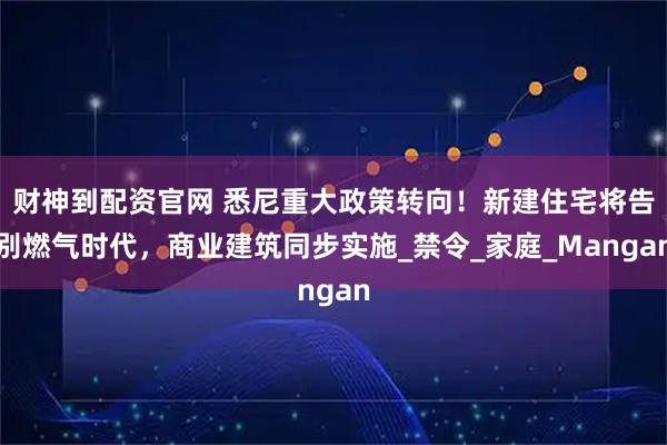 财神到配资官网 悉尼重大政策转向！新建住宅将告别燃气时代，商业建筑同步实施_禁令_家庭_Mangan