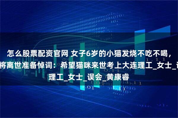 怎么股票配资官网 女子6岁的小猫发烧不吃不喝，母亲误认为将离世准备悼词：希望猫咪来世考上大连理工_女士_误会_黄康睿