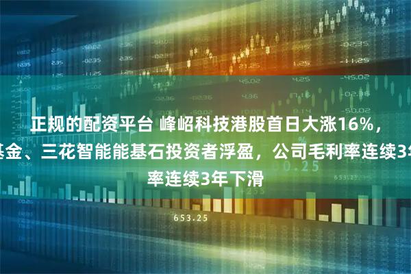 正规的配资平台 峰岹科技港股首日大涨16%，华夏基金、三花智能能基石投资者浮盈，公司毛利率连续3年下滑