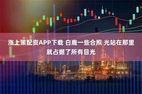 涨上策配资APP下载 白鹿一些合照 光站在那里就占据了所有目光
