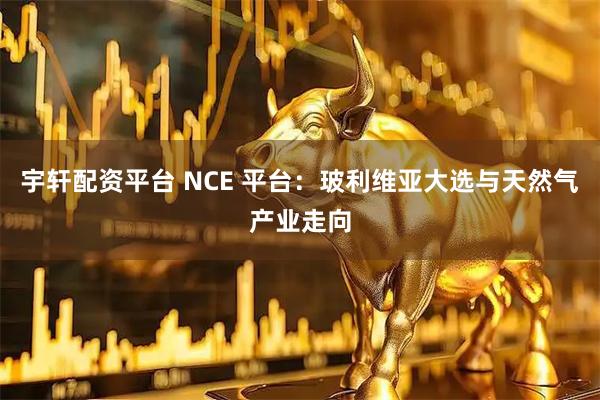 宇轩配资平台 NCE 平台：玻利维亚大选与天然气产业走向